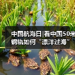 中国航海日|看中国50米钢轨如何“漂洋过海”走向欧洲(图2) 中国航海日|看中国50米钢轨如何“漂洋过海”走向欧洲(图2)