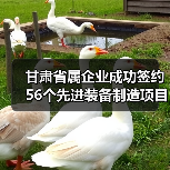 甘肃省属企业成功签约56个先进装备制造项目!(图1) 甘肃省属企业成功签约56个先进装备制造项目!(图1)