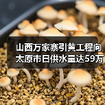 山西万家寨引黄工程向太原市日供水量达59万立方米!(图3) 山西万家寨引黄工程向太原市日供水量达59万立方米!(图3)