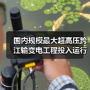 国内规模最大超高压跨江输变电工程投入运行！（图1）