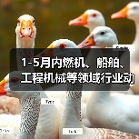 1-5月内燃机、船舶、工程机械等领域行业动态信息(图1) 1-5月内燃机、船舶、工程机械等领域行业动态信息(图1)
