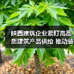 陕西建筑企业紧盯高品质建筑产品供给 推动装配式建筑高质量发展（图4）