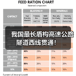 我国最长盾构高速公路隧道西线贯通!(图4) 我国最长盾构高速公路隧道西线贯通!(图4)