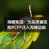 海螺集团:为高质量实施RCEP注入海螺动能(图1) 海螺集团:为高质量实施RCEP注入海螺动能(图1)