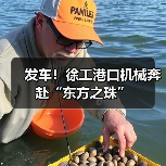 发车！徐工港口机械奔赴“东方之珠”（图3）