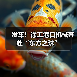 发车！徐工港口机械奔赴“东方之珠”（图4）