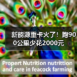 新能源重卡火了!跑900公里少花2000元(图1) 新能源重卡火了!跑900公里少花2000元(图1)
