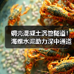 钢壳混凝土沉管隧道!海螺水泥助力深中通道建设(图3) 钢壳混凝土沉管隧道!海螺水泥助力深中通道建设(图3)