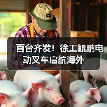 百台齐发!徐工鲲鹏电动叉车启航海外(图2) 百台齐发!徐工鲲鹏电动叉车启航海外(图2)