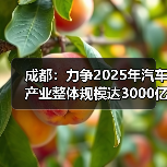 成都：力争2025年汽车产业整体规模达3000亿元（图2）