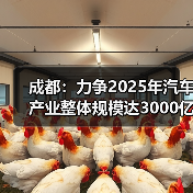 成都：力争2025年汽车产业整体规模达3000亿元（图4）