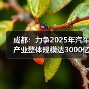 成都：力争2025年汽车产业整体规模达3000亿元（图3）