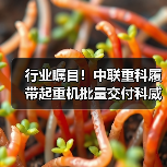 行业瞩目！中联重科履带起重机批量交付科威特（图2）