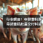 行业瞩目！中联重科履带起重机批量交付科威特（图3）