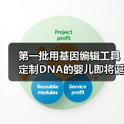 第一批用基因编辑工具定制DNA的婴儿即将诞生？（图2）