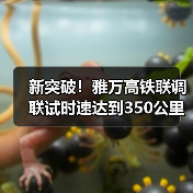 新突破！雅万高铁联调联试时速达到350公里（图4）