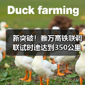 新突破！雅万高铁联调联试时速达到350公里（图3）