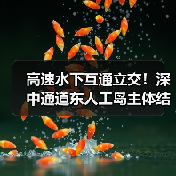 高速水下互通立交!深中通道东人工岛主体结构施工完成!(图4) 高速水下互通立交!深中通道东人工岛主体结构施工完成!(图4)