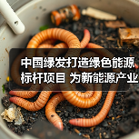 中国绿发打造绿色能源标杆项目 为新能源产业贡献动能(图4) 中国绿发打造绿色能源标杆项目 为新能源产业贡献动能(图4)