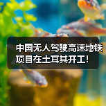 中国无人驾驶高速地铁项目在土耳其开工!(图3) 中国无人驾驶高速地铁项目在土耳其开工!(图3)