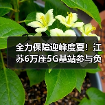 全力保障迎峰度夏!江苏6万座5G基站参与负荷调控(图2) 全力保障迎峰度夏!江苏6万座5G基站参与负荷调控(图2)