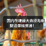 国内在建最大直径海底隧道单线贯通!(图3) 国内在建最大直径海底隧道单线贯通!(图3)