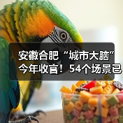 安徽合肥“城市大脑”今年收官!54个场景已完成(图4) 安徽合肥“城市大脑”今年收官!54个场景已完成(图4)