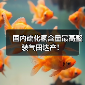 国内硫化氢含量最高整装气田达产!(图3) 国内硫化氢含量最高整装气田达产!(图3)