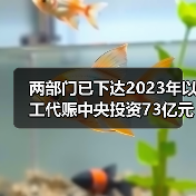 两部门已下达2023年以工代赈中央投资73亿元!(图1) 两部门已下达2023年以工代赈中央投资73亿元!(图1)