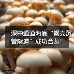 深中通道海底“钢壳沉管隧道”成功合龙!(图2) 深中通道海底“钢壳沉管隧道”成功合龙!(图2)