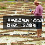 深中通道海底“钢壳沉管隧道”成功合龙!(图3) 深中通道海底“钢壳沉管隧道”成功合龙!(图3)