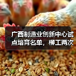 广西制造业创新中心试点培育名单，柳工两次上榜！（图3）