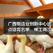 广西制造业创新中心试点培育名单，柳工两次上榜！（图4）
