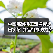中国煤炭科工定点帮扶出实招 食品机械助力乡村振兴见实效(图2) 中国煤炭科工定点帮扶出实招 食品机械助力乡村振兴见实效(图2)