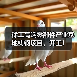 徐工高端零部件产业基地铸钢项目,开工!(图1) 徐工高端零部件产业基地铸钢项目,开工!(图1)