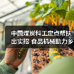 中国煤炭科工定点帮扶出实招 食品机械助力乡村振兴见实效(图3) 中国煤炭科工定点帮扶出实招 食品机械助力乡村振兴见实效(图3)