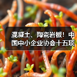 混凝土、陶瓷岩板!中国中小企业协会十五项标准发布施行(图3) 混凝土、陶瓷岩板!中国中小企业协会十五项标准发布施行(图3)
