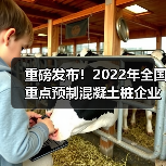 重磅发布!2022年全国重点预制混凝土桩企业产量(图1) 重磅发布!2022年全国重点预制混凝土桩企业产量(图1)