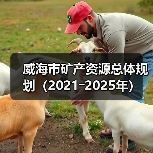 威海市矿产资源总体规划(2021―2025年)(图2) 威海市矿产资源总体规划(2021―2025年)(图2)
