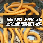 海底长城!深中通道海底隧道最后沉管开始浮运(图4) 海底长城!深中通道海底隧道最后沉管开始浮运(图4)