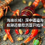 海底长城!深中通道海底隧道最后沉管开始浮运(图2) 海底长城!深中通道海底隧道最后沉管开始浮运(图2)