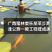 广西隆林委乐至革步高速公路一期工程建成通车(图3) 广西隆林委乐至革步高速公路一期工程建成通车(图3)