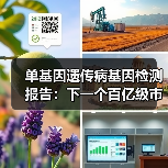 单基因遗传病基因检测报告：下一个百亿级市场启航（图4）