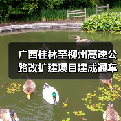 广西桂林至柳州高速公路改扩建项目建成通车(图2) 广西桂林至柳州高速公路改扩建项目建成通车(图2)