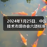 2024年1月25日,中国技术市场协会六项标准正式施行(图3) 2024年1月25日,中国技术市场协会六项标准正式施行(图3)