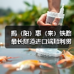 揭(阳)惠(来)铁路最长隧道进口端顺利贯通!(图2) 揭(阳)惠(来)铁路最长隧道进口端顺利贯通!(图2)