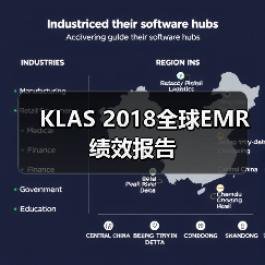 KLAS 2018全球EMR绩效报告(图2) KLAS 2018全球EMR绩效报告(图2)