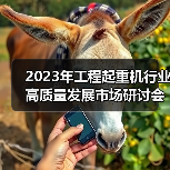 2023年工程起重机行业高质量发展市场研讨会在上海成功举行(图2) 2023年工程起重机行业高质量发展市场研讨会在上海成功举行(图2)