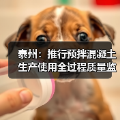 泰州:推行预拌混凝土生产使用全过程质量监管(图1) 泰州:推行预拌混凝土生产使用全过程质量监管(图1)