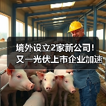 境外设立2家新公司!又一光伏上市企业加速全球化(图4) 境外设立2家新公司!又一光伏上市企业加速全球化(图4)